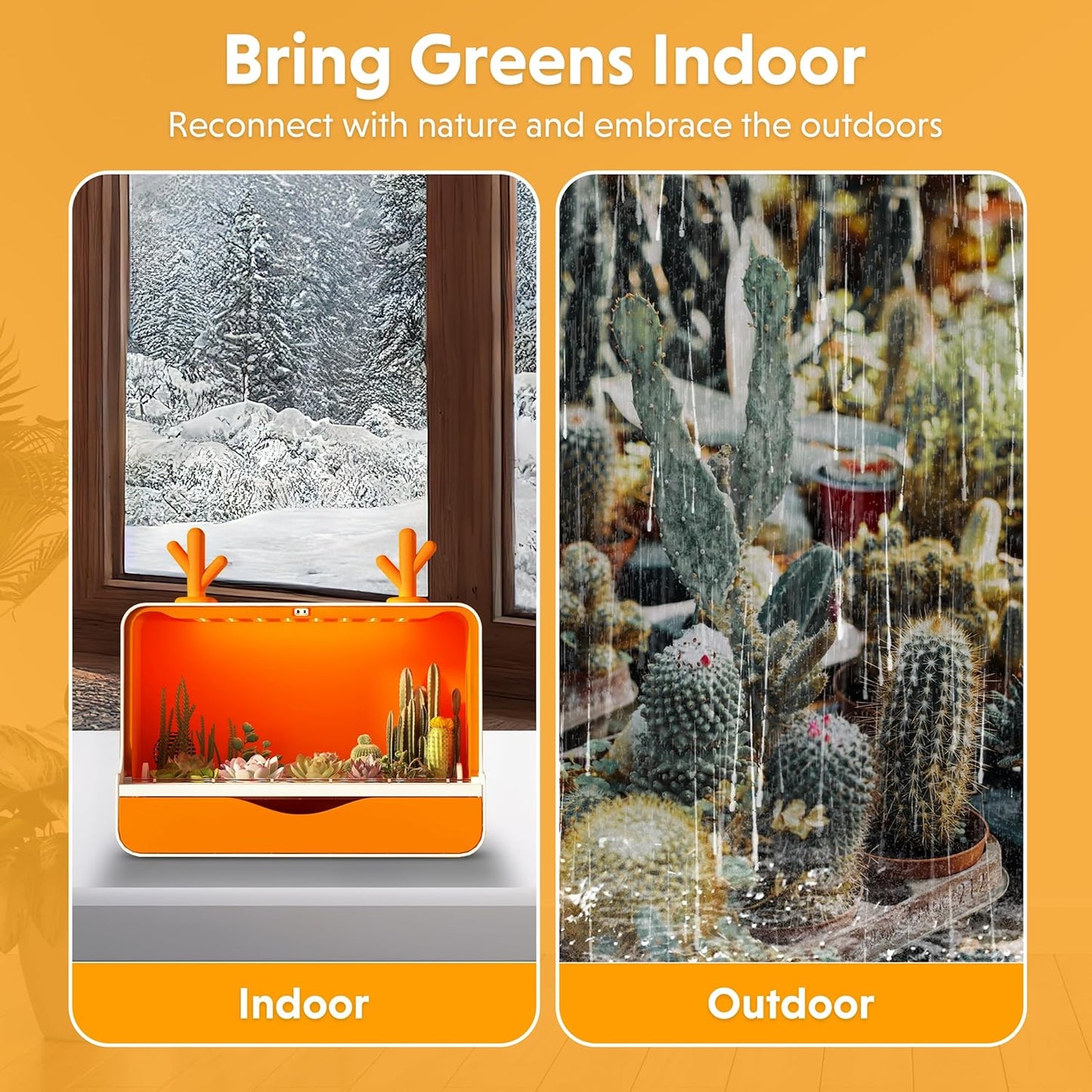 iFarm Smart Plant Pots