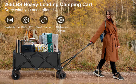 Outdoor Camping Vehicle, Black